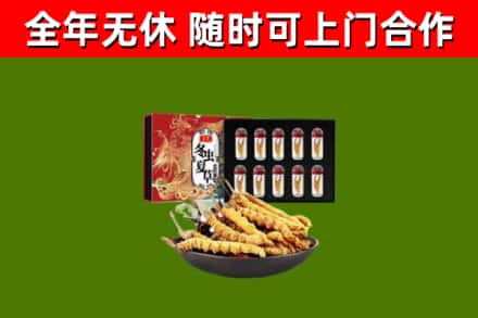 北仑烟酒回收冬虫夏草礼盒.jpg